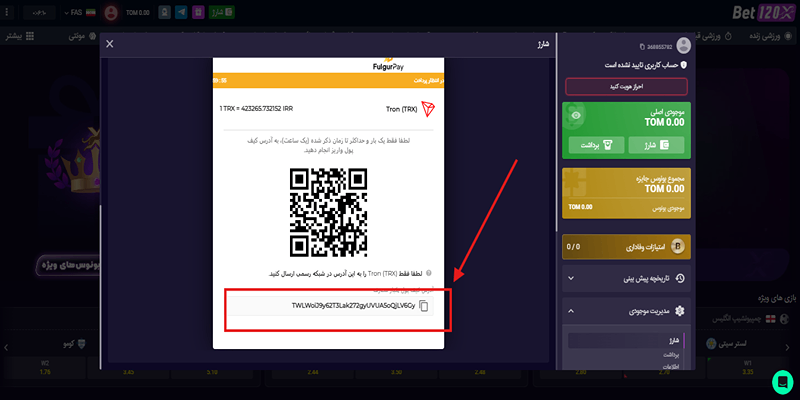 روش های واریز در سایت 120XBet روش های واریز در سایت 120XBet